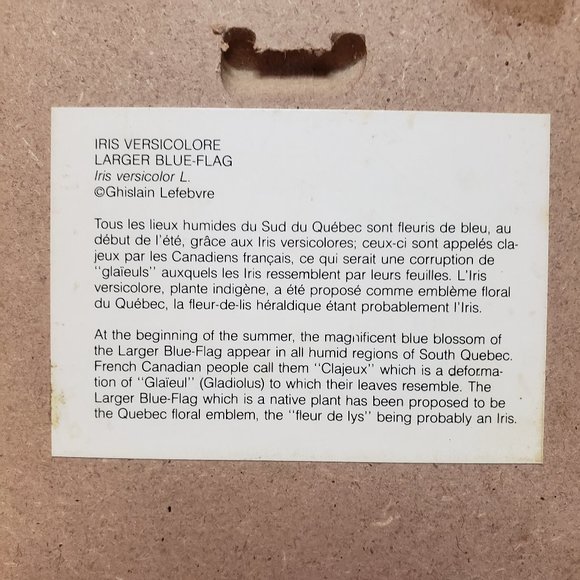 ART Botanical Floral Prints in Lavender Green Set of 3 - Picture 3 of 11